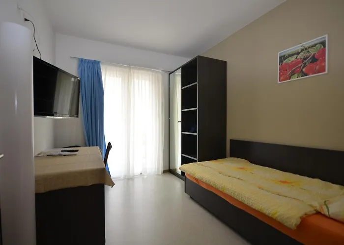 ホテル Elvezia 3*